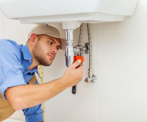 About Emergency plumbing pros Mount Carroll, IL